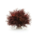 BiOrb Aquatic Sea Lily - Crimson