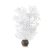 BiOrb Sea Fan - White