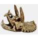 Superfish - Skull Triceratops (Medium)