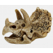 Superfish - Skull Triceratops (Small)