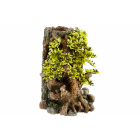 Bonsi aquarium ornament.