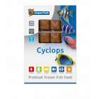 SuperFish Frozen Cyclops (100g)