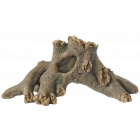 Superfish - Tree Root