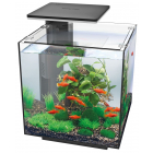 Superfish Qubiq Pro 30 LED Aquarium - Black
