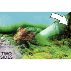 Superfish 2 Sided Aquarium Background C - Planted Aquascapes
