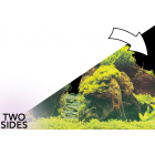 Superfish 2 Sided Aquarium Background E - White & Moss Aquascape