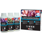 Red Sea Foundation Supplements Complete Pack