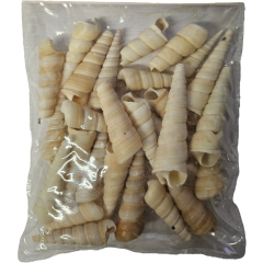 Hugo Kamishi  Decorative Sea Shells Type 8 100g