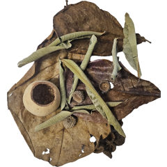 Superfish Biotope Set Shrimp Decoration