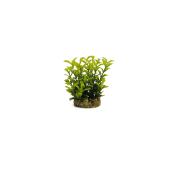 Classic Gravel Base Artificial Plant - Yellow & Green Leaf (10cm)