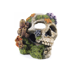 Classic, flower skull. Aquarium Ornament.