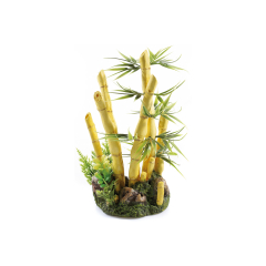 Bamboo, aquarium ornament.