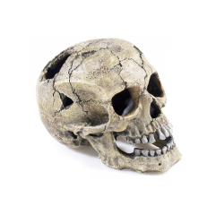 skull, aquarium ornament