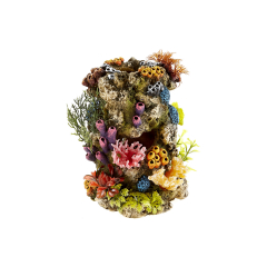 coral stone, aquarium ornament.