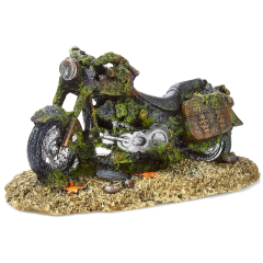 motorcycle, aquarium ornament.