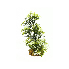 Classic Artificial Plant - Leaf Plant White/Dark Green