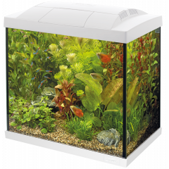 Superfish Start 30 Tropical Aquarium - White