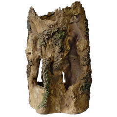 Superfish - Tree Home