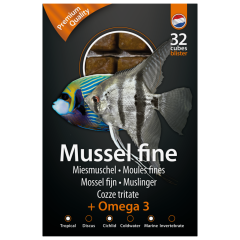 Dutch Select Frozen Fish Food - Mussel Fine