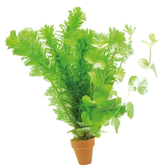 AquaFleur Tropical Aquarium Plant - Coldwater Mix Terra Cotta