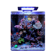 Blue Marine Reef 60 Aquarium