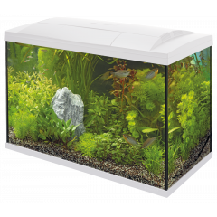 Superfish Start 150 Tropical Aquarium - White