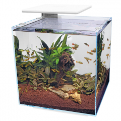 Superfish Qubiq Pro 60 LED Aquarium - White