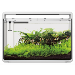 Superfish Home 65 Aquarium - White