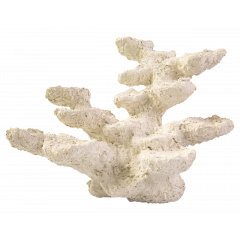 Blue Marine Standing Rock