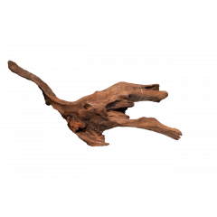 Aquarium wood - Mangrove Aged Wood Medium