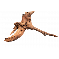 Aquarium wood - Mangrove Aged Wood X Large