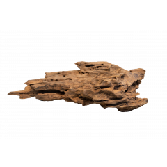 Aquarium wood - Honeycomb Wood Medium