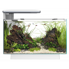 Superfish Quadro 40 Pro LED Aquarium - White