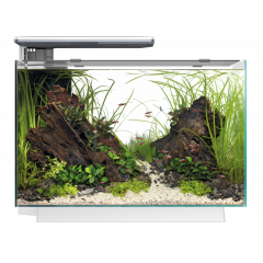 Superfish Quadro 70 Pro LED Aquarium - White