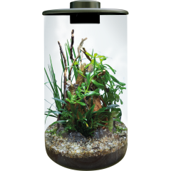 Bio Art Terrarium Black Cylinder