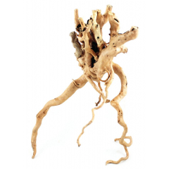 Aquarium wood - Azalea Root 30-40cm