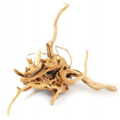 Aquarium wood - Azalea Root 40-50cm