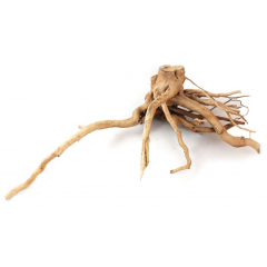 Aquarium wood - Azalea Root 50-60cm