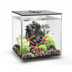 BiOrb Cube 30 MCR Aquarium - Black