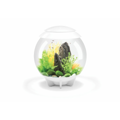 BiOrb Halo 30 MCR Aquarium - White