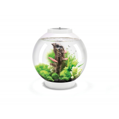 BiOrb Classic 30 MCR Aquarium - White