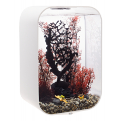 BiOrb Life 45 MCR Aquarium - White