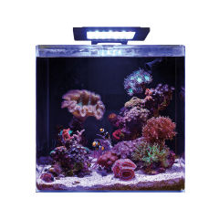 Blue Marine Reef 90 Aquarium