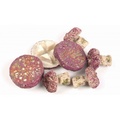 TMC Coral Frag Plugs - Mix of 20