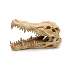 Gigan Ornament - Crocodile Skull