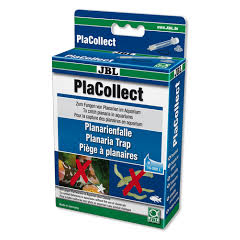 JBL Pla Collect Flatworm Trap
