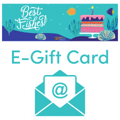 Birthday - Email Gift Voucher