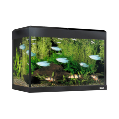 Fluval Roma 90 Bluetooth LED Aquarium