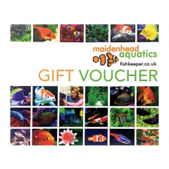 Gift Card with Voucher Sleeve