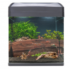 Fishkeeper MyQuarium Grey 16L